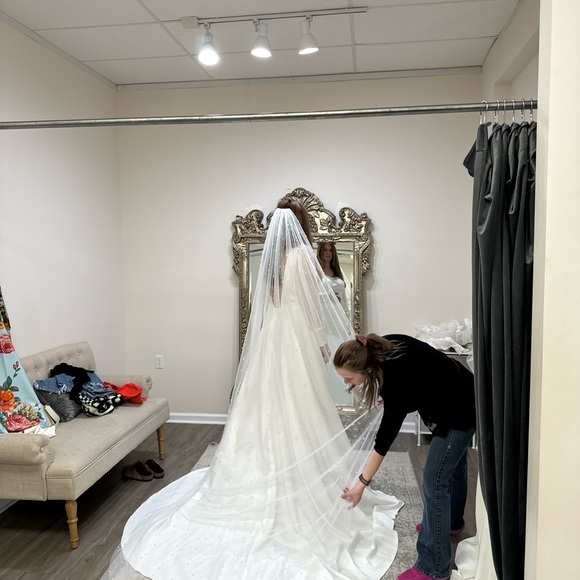 Wedding Dress - Miss Veil size 12 - Picture 3 of 7